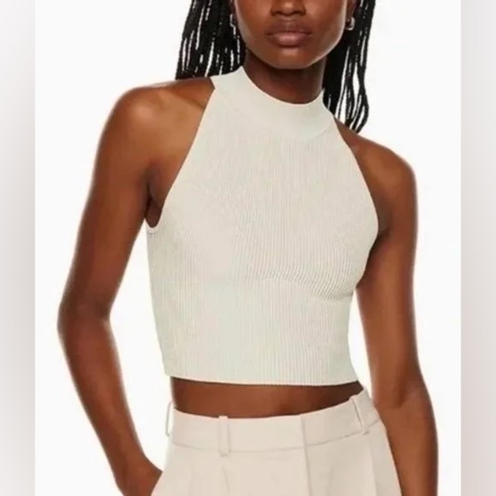 Aritzia Babaton Sculpt Knit Mockneck Halter Top in Light Birch